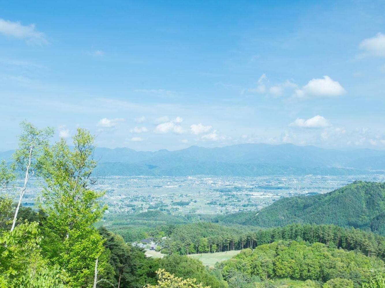 Izumigo Ambient